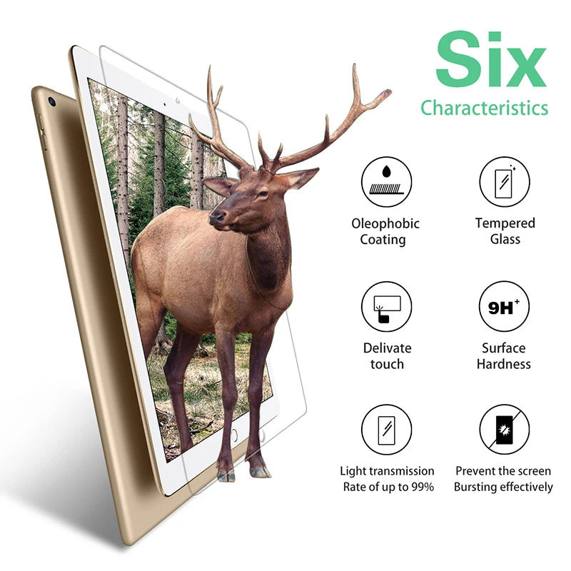Apple iPad - Tempered Glass Screen Protector - 2 Pack
